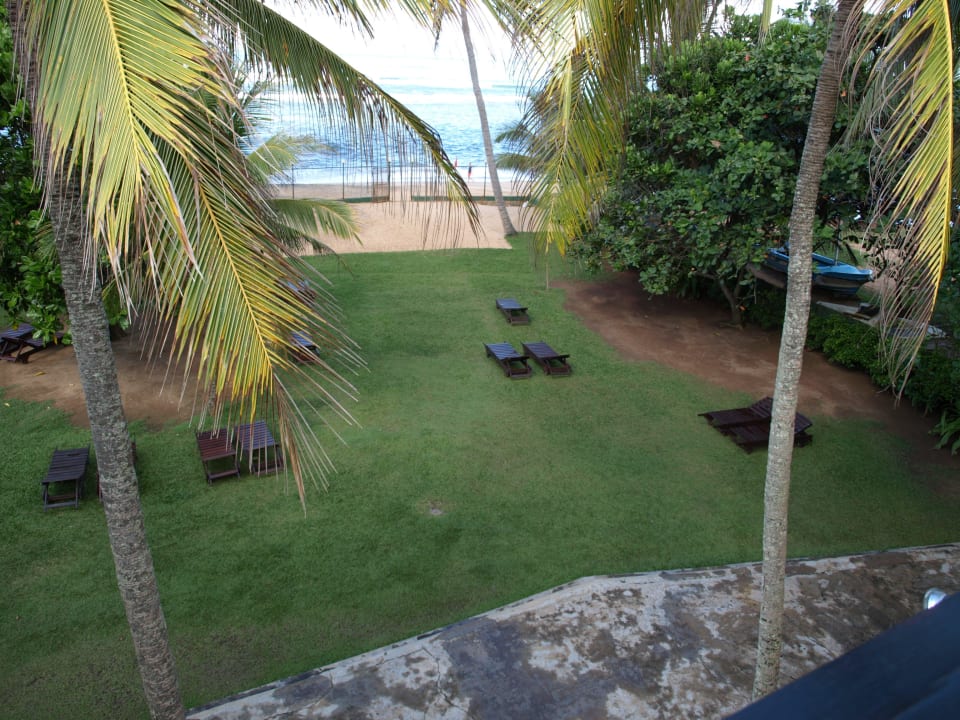 Blick auf die Liegewiese Earl’s Reef Beruwala