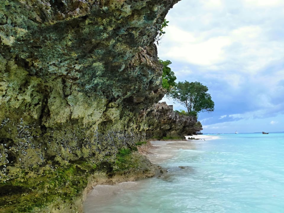 Sonstiges Motiv Hotel Riu Palace Zanzibar