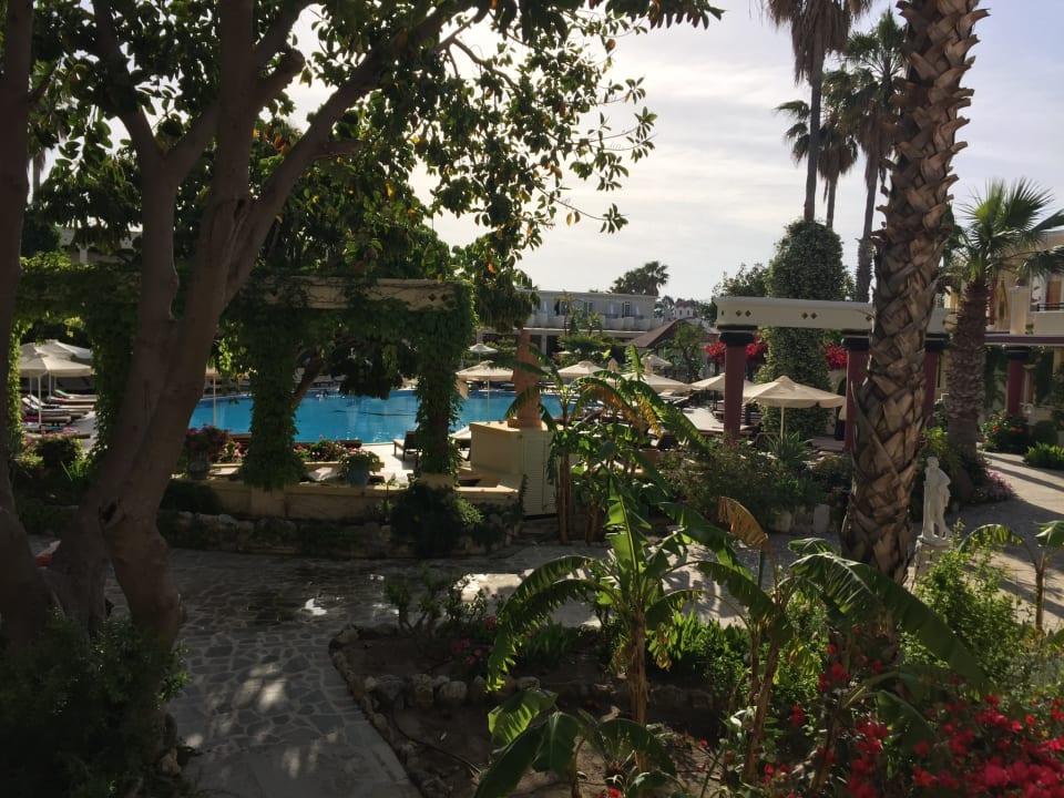 Pool Apollon Hotel