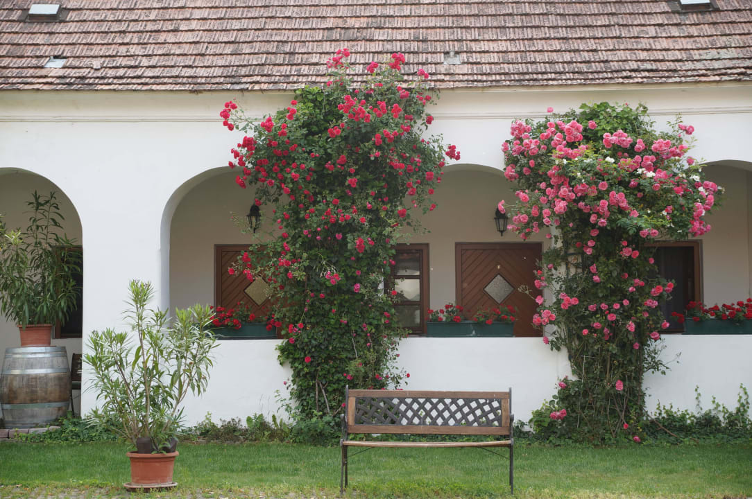 Rosen Geniesserhof Haimer