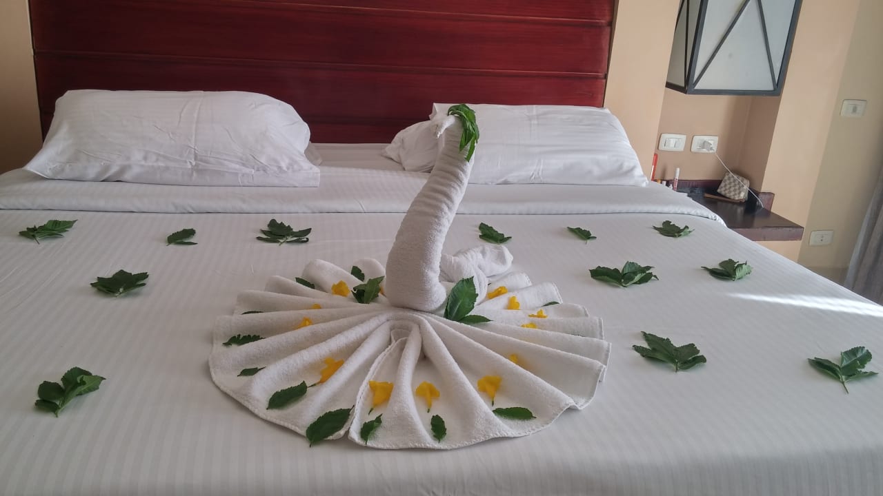 Zimmer Coral Sea Holiday Village