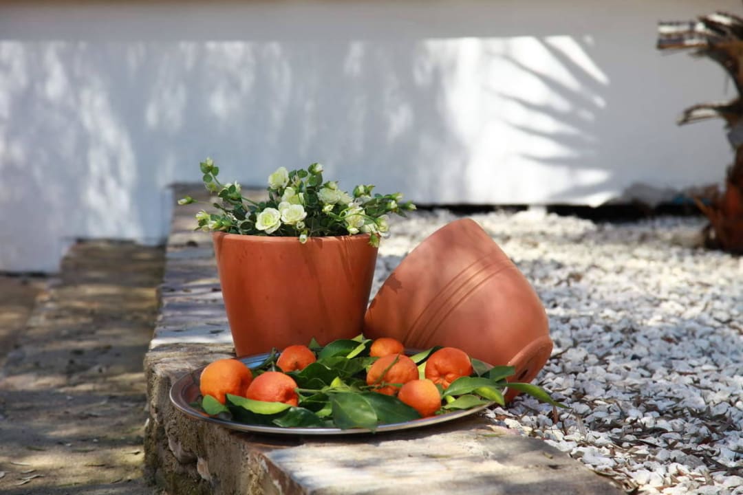 Bungalow Nature Village Olympos