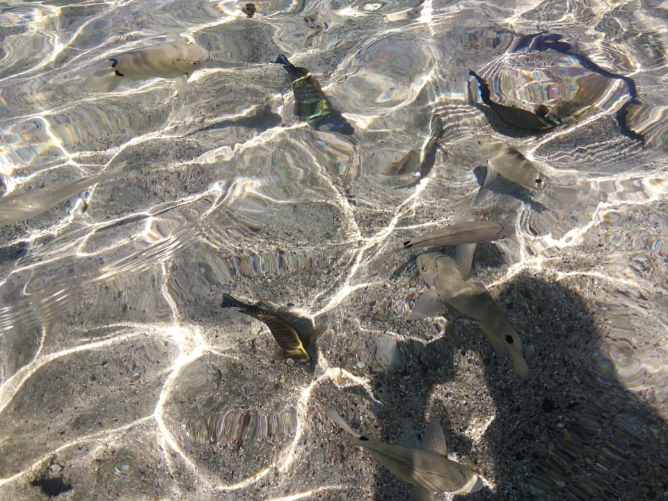 Strand Three Corners Sea Beach Resort