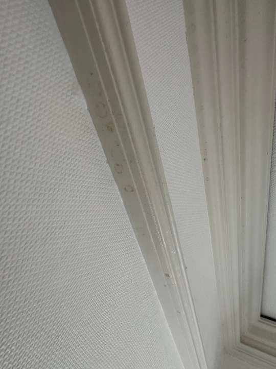 Zimmer Hotel Lippischer Hof