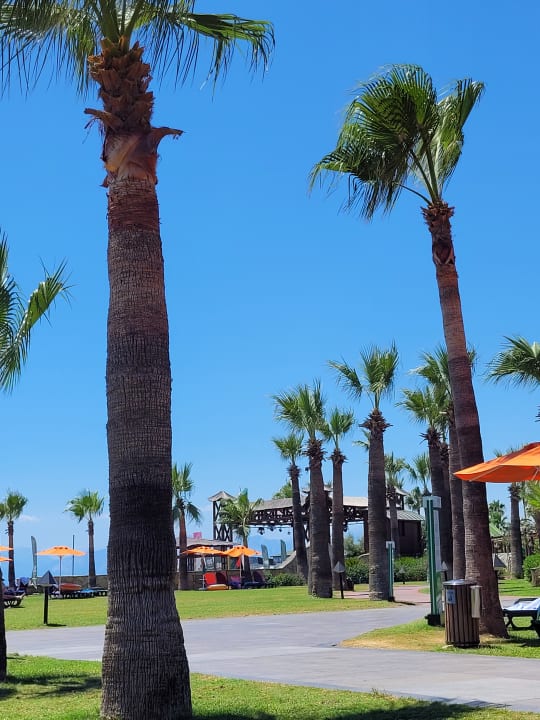 Gartenanlage Megasaray Club Belek