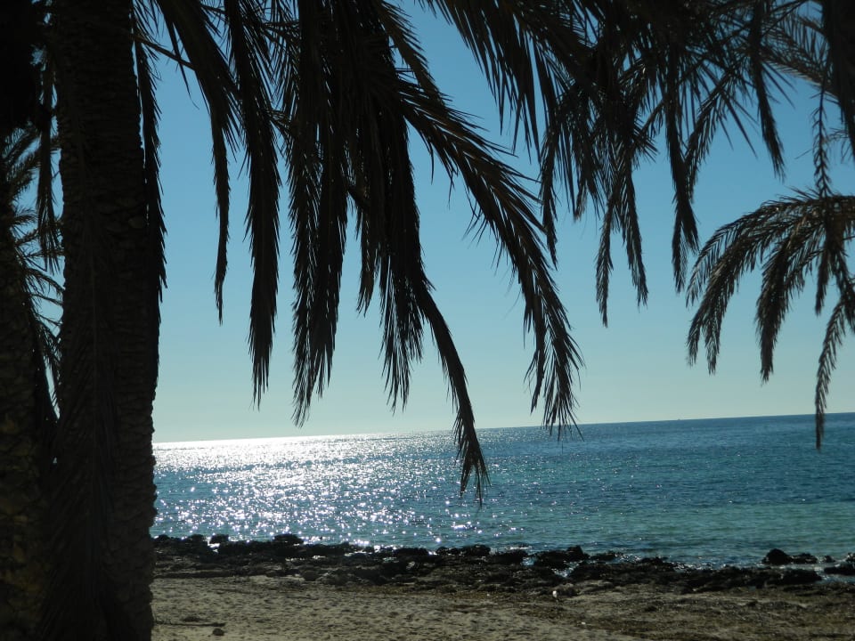 Plage  Hotel El Mouradi Djerba Menzel