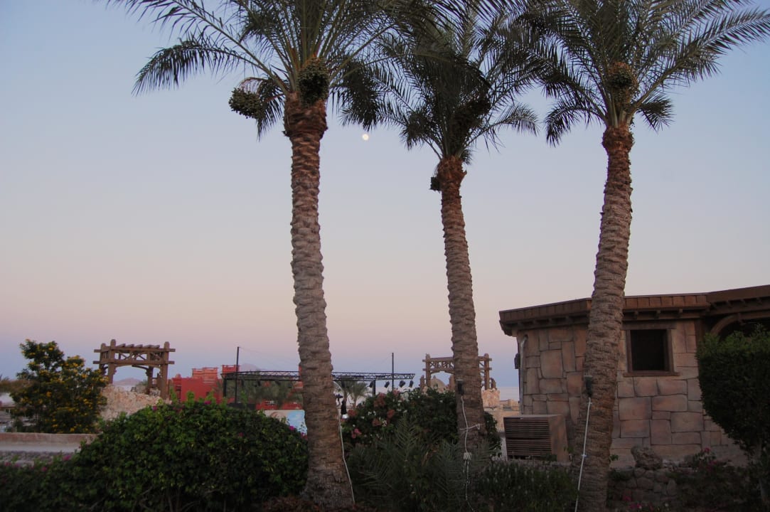Stimmungsvoll! Charmillion Sea Life Resort