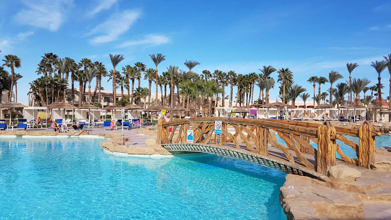 Pool Beach Albatros Resort