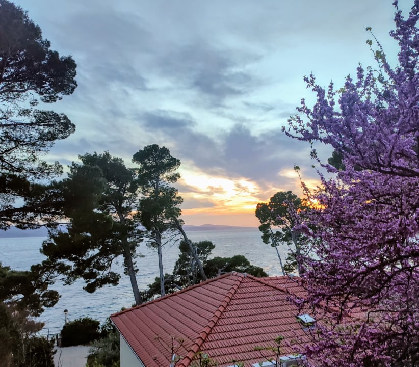 Ausblick Bluesun Hotel Soline