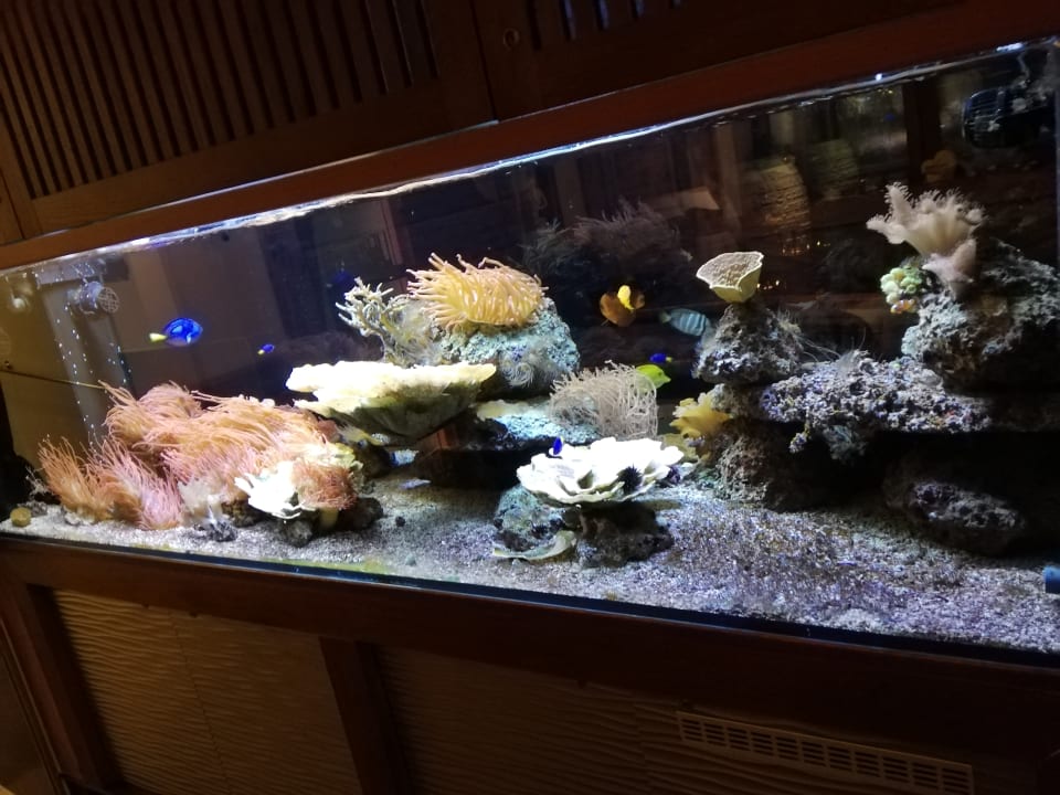 Sonstiges Hotel Regenbogenland Zum Kramerwirt