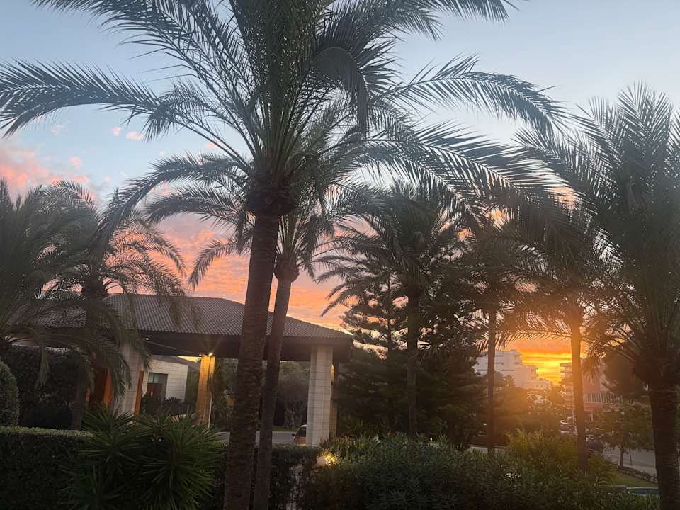 Ausblick Prinsotel La Dorada