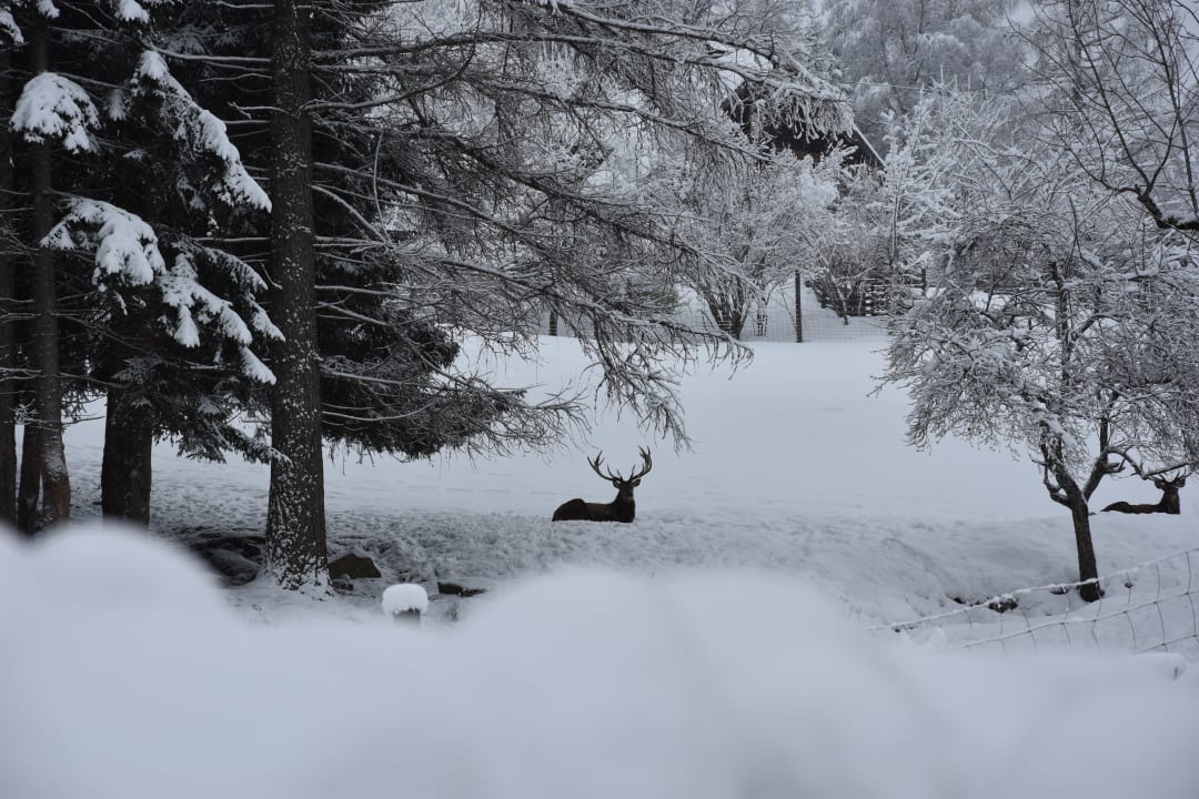 Ausblick Hotel Vitaler Landauerhof