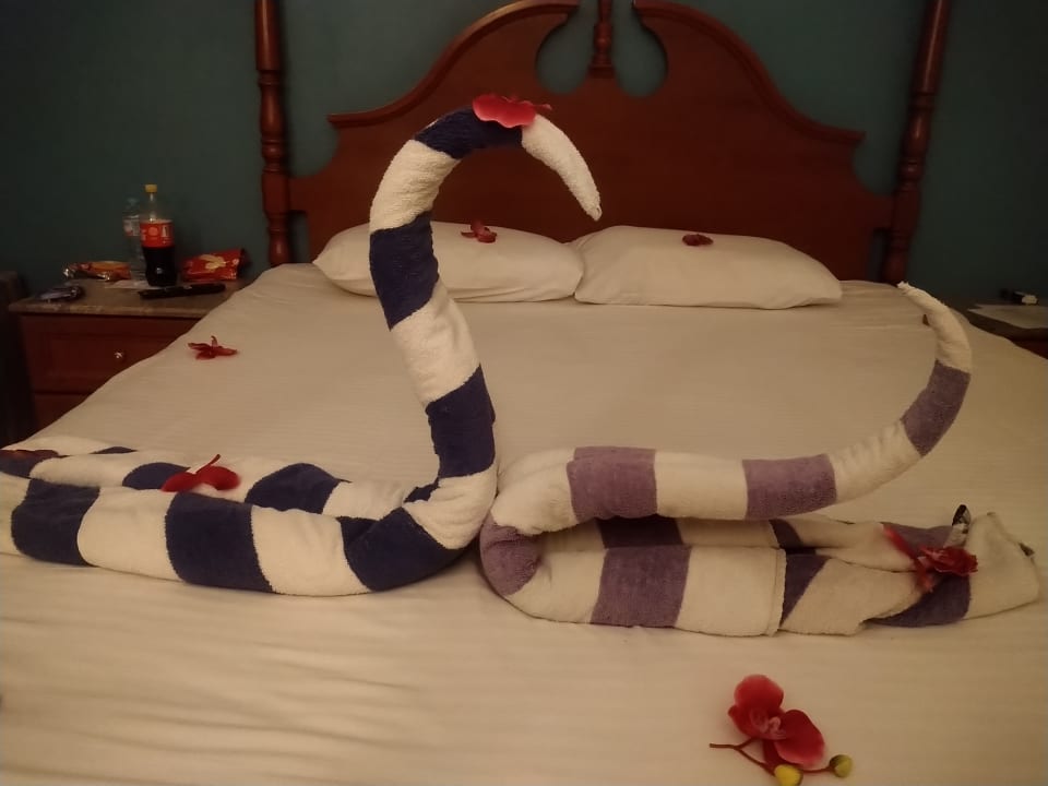 Zimmer Titanic Beach Spa & Aqua Park