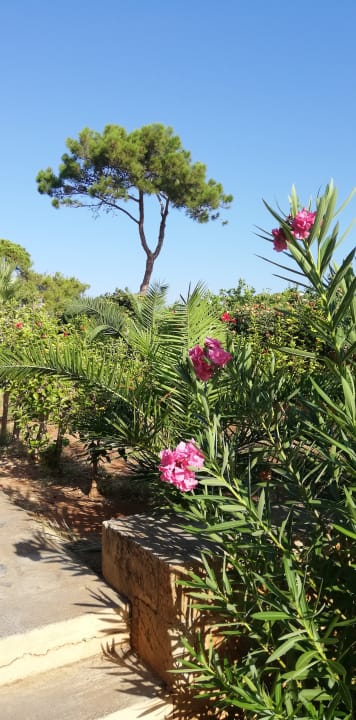Gartenanlage Kernos Beach Hotel & Bungalows