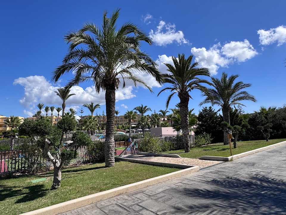 Gartenanlage Hotel Horizon Beach Resort