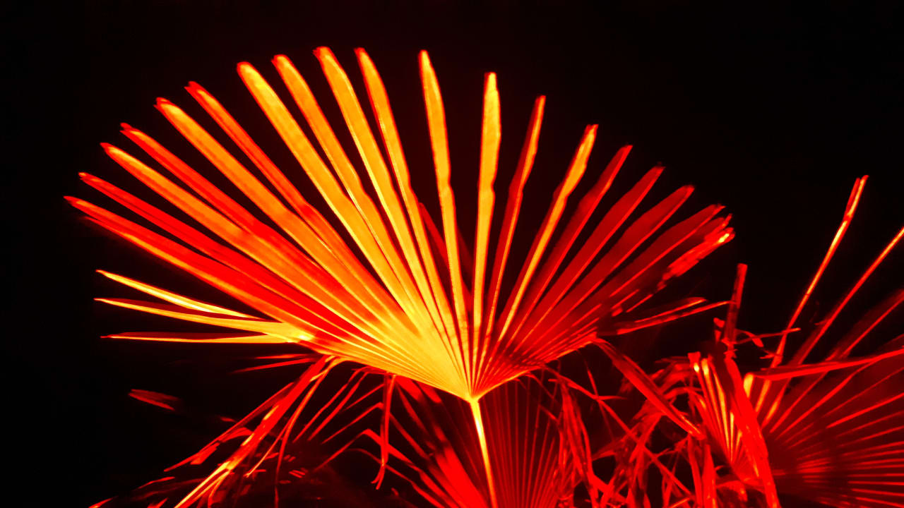 Ausblick Vitalhotel König am Park