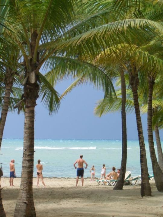 Blick auf den Strand Playabachata Hotel