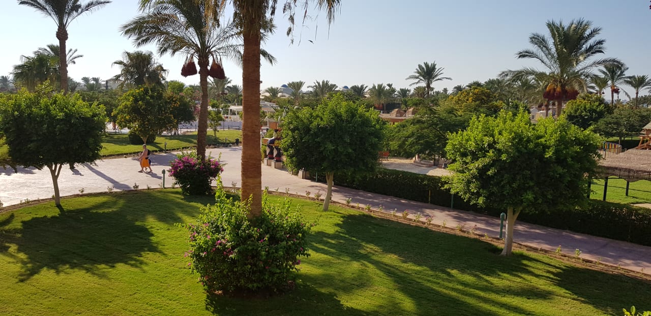 Gartenanlage Desert Rose