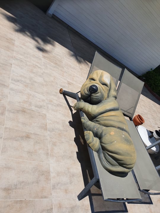 Pool Side Star Elegance