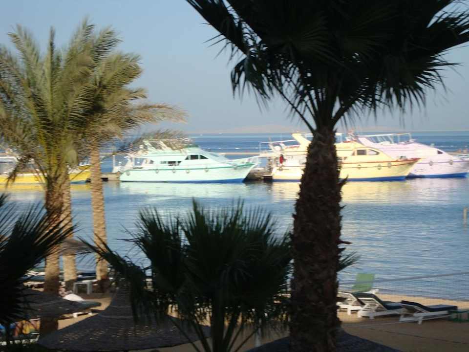 Schiffe Giftun Azur Resort