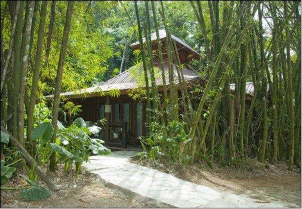 Bamboo Cabin Rancho Platon