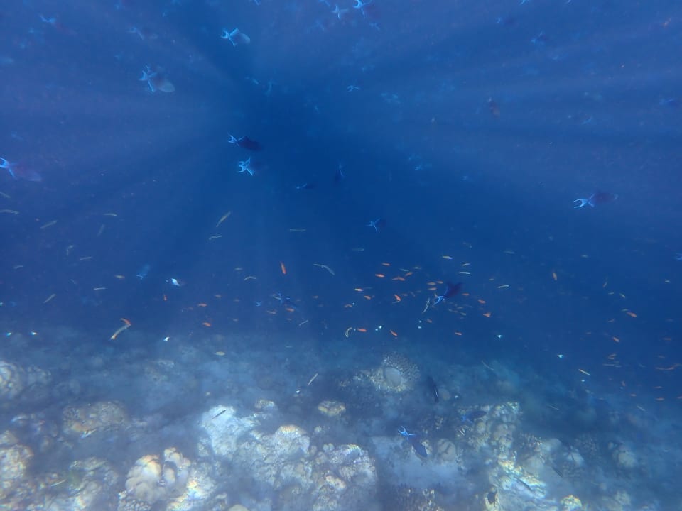 Strand NH Collection Maldives Reethi Resort