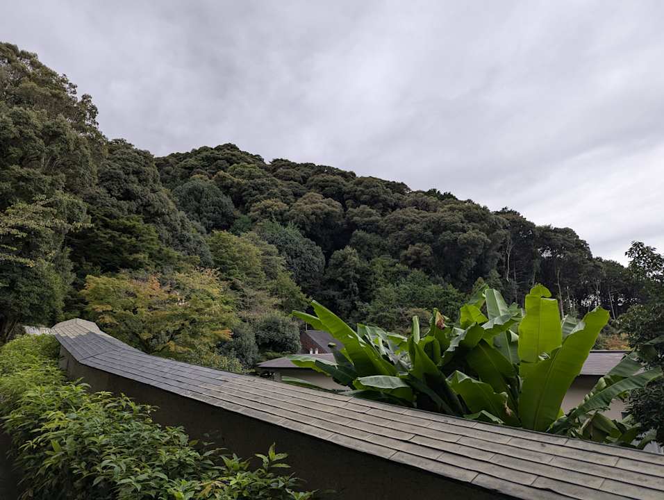 Gartenanlage Hotel The Westin Miyako Kyoto