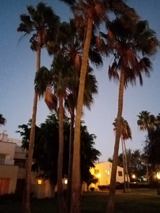 Außenansicht Hotel Riu Oliva Beach Resort