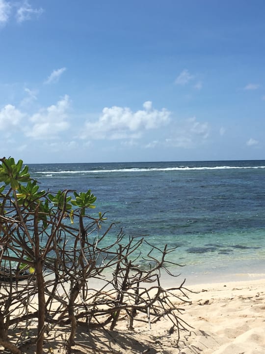 Strand Radisson Blu Poste Lafayette Resort & Spa - Adults only