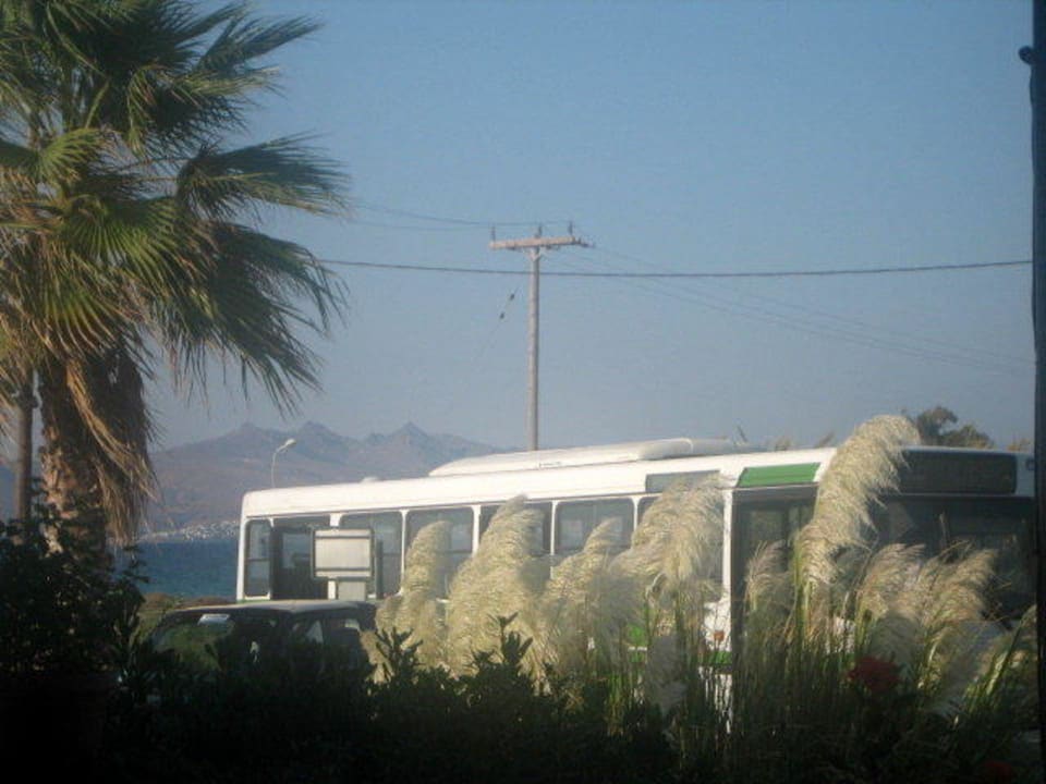 Von der Hotelterrasse zur Bushaltestelle  Costa Angela Seaside Resort