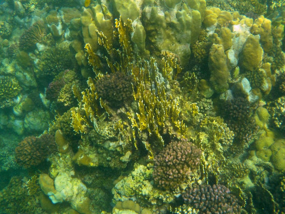 Strand Mövenpick Resort El Quseir