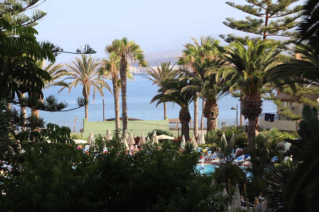 Hôtel H10 Las Palmeras - Le Jardin 2015 H10 Las Palmeras