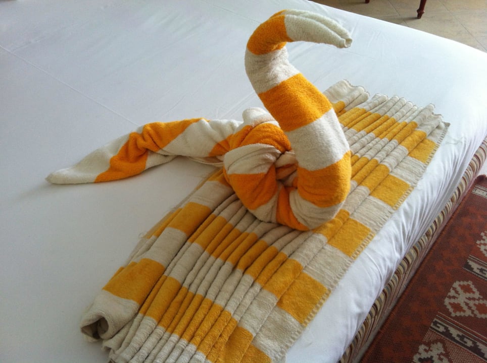 Täglich neue Deko Hotel Titanic Palace