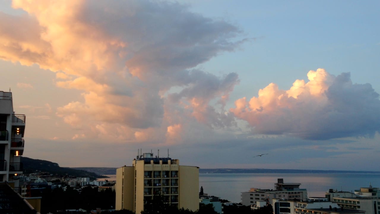 Ausblick HVD Viva Club Hotel