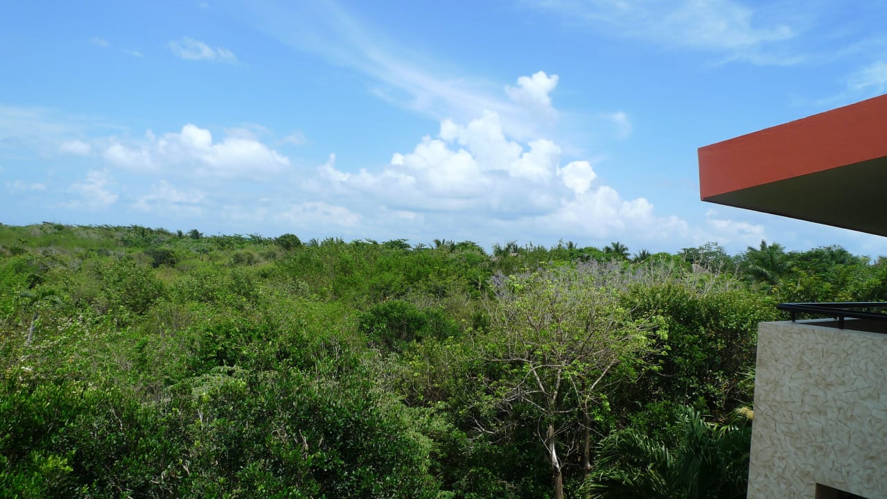 Unser Ausblick Richtung Regenwald und Meer Grand Palladium Kantenah Resort & Spa