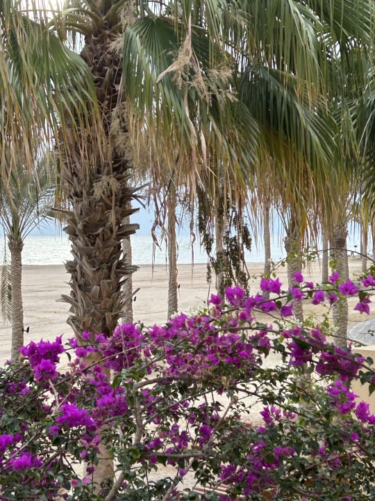 Ausblick Steigenberger Coraya Beach - Adults only