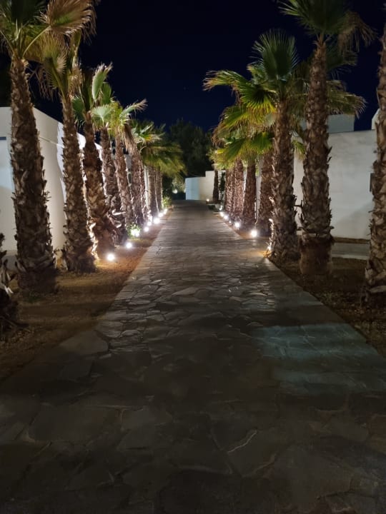 Gartenanlage Knossos Beach Bungalows Suites Resort & Spa