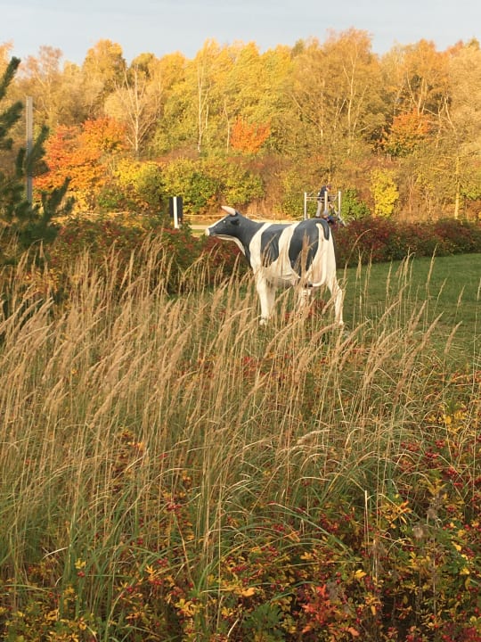 Ausblick BEECH Resort Boltenhagen