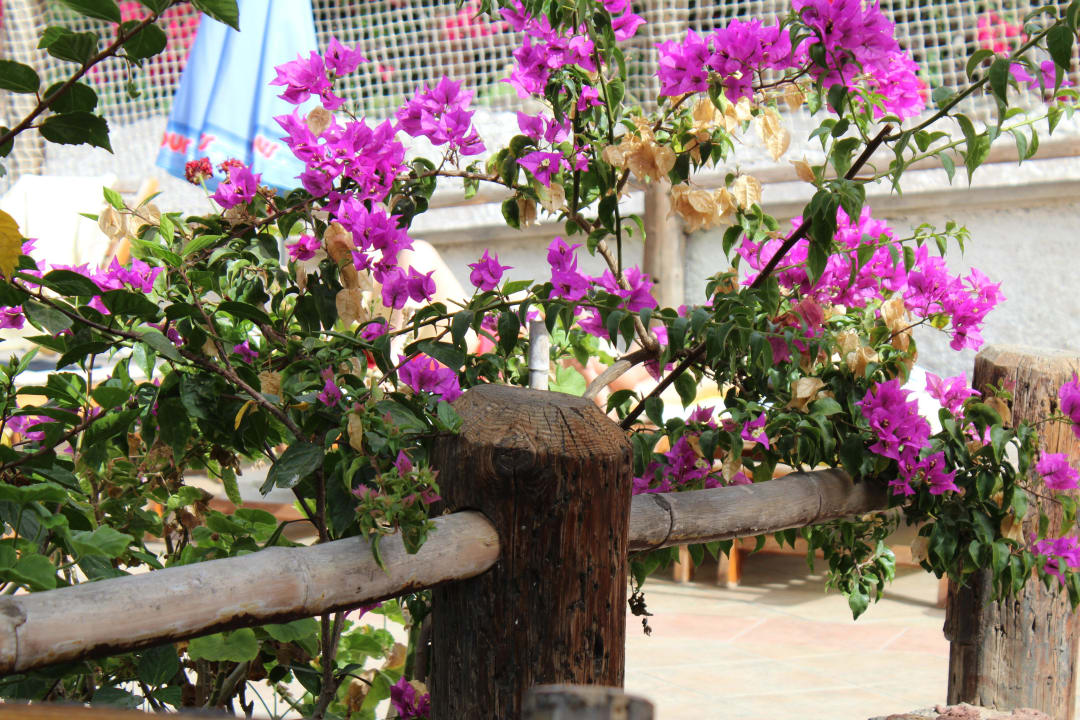 Wunderschöne Gartenanlage HL Miraflor Suites Hotel