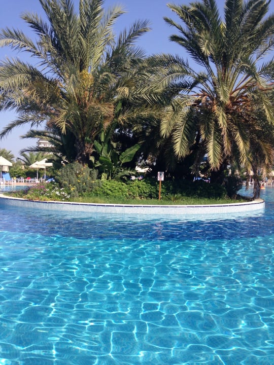 Pool Seaden Sea World Resort & Spa