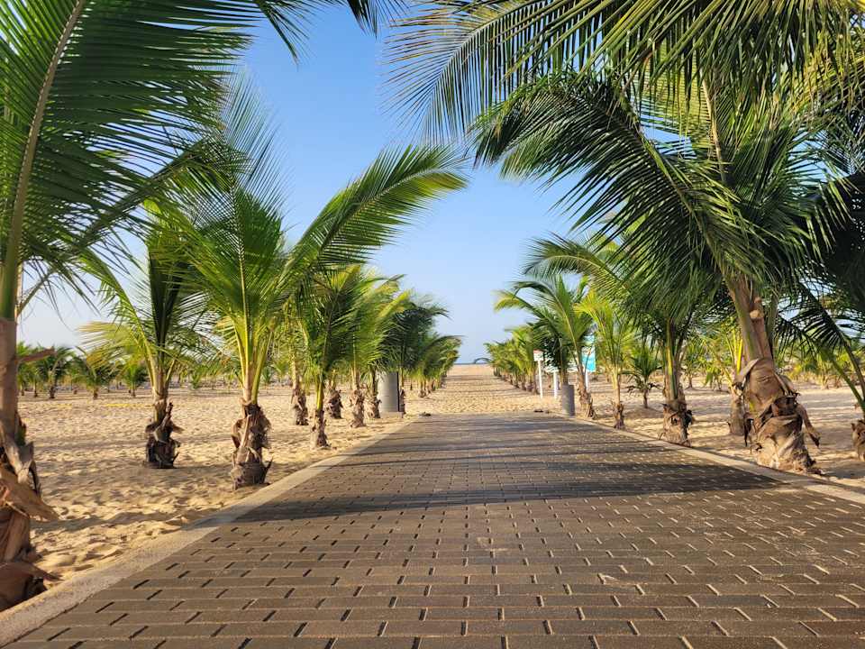Gartenanlage Hotel Riu Palace Santa Maria