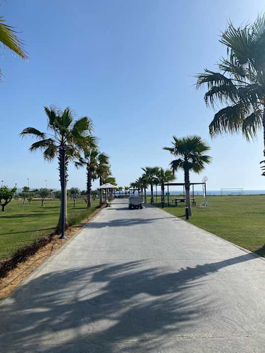 Gartenanlage Jacaranda Luxury Resort