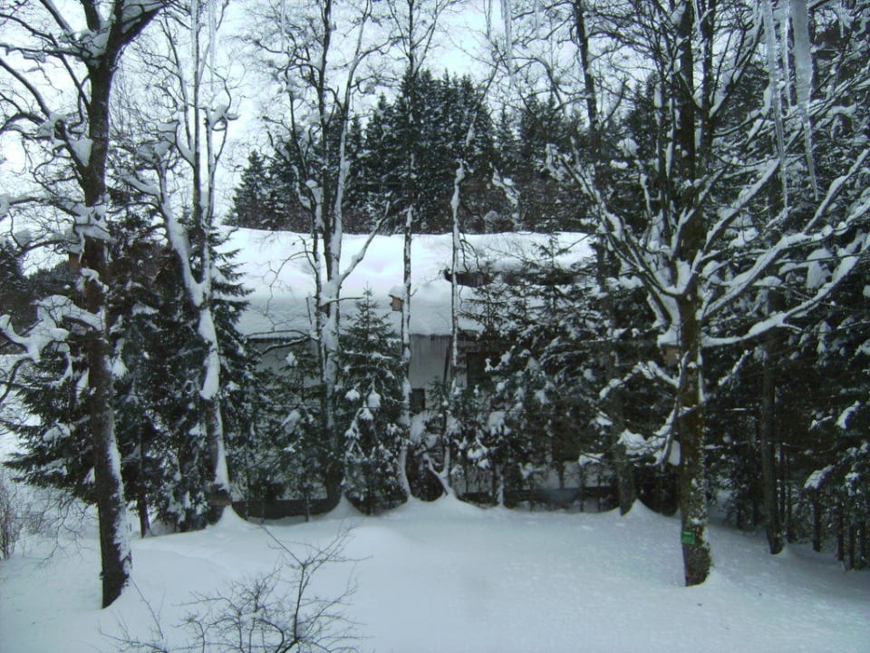 Ausblick von unserem Zimmer Hotel Pfeiffermühle