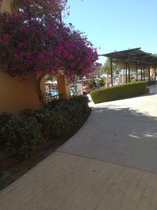 Sonstiges Steigenberger Coraya Beach - Adults only