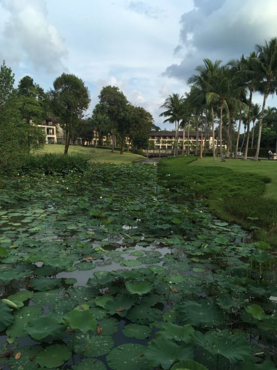 Gartenanlage Dusit Thani Krabi Beach Resort
