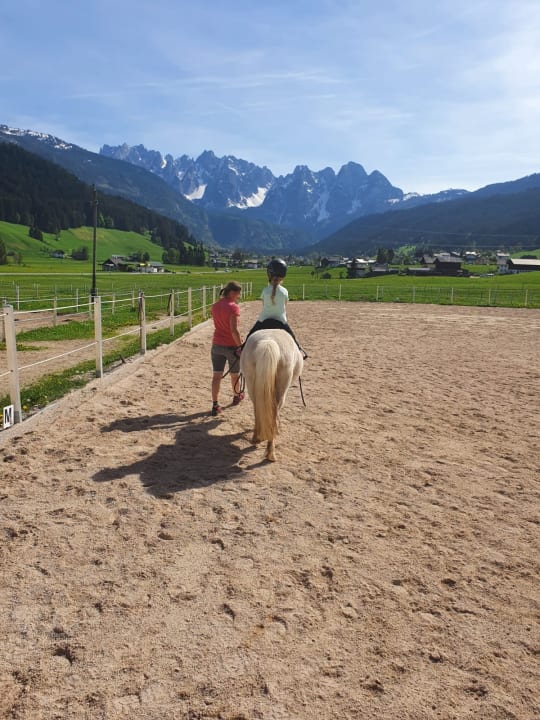 Sport & Freizeit Pleasant Apartment in Gosau near Ski Area