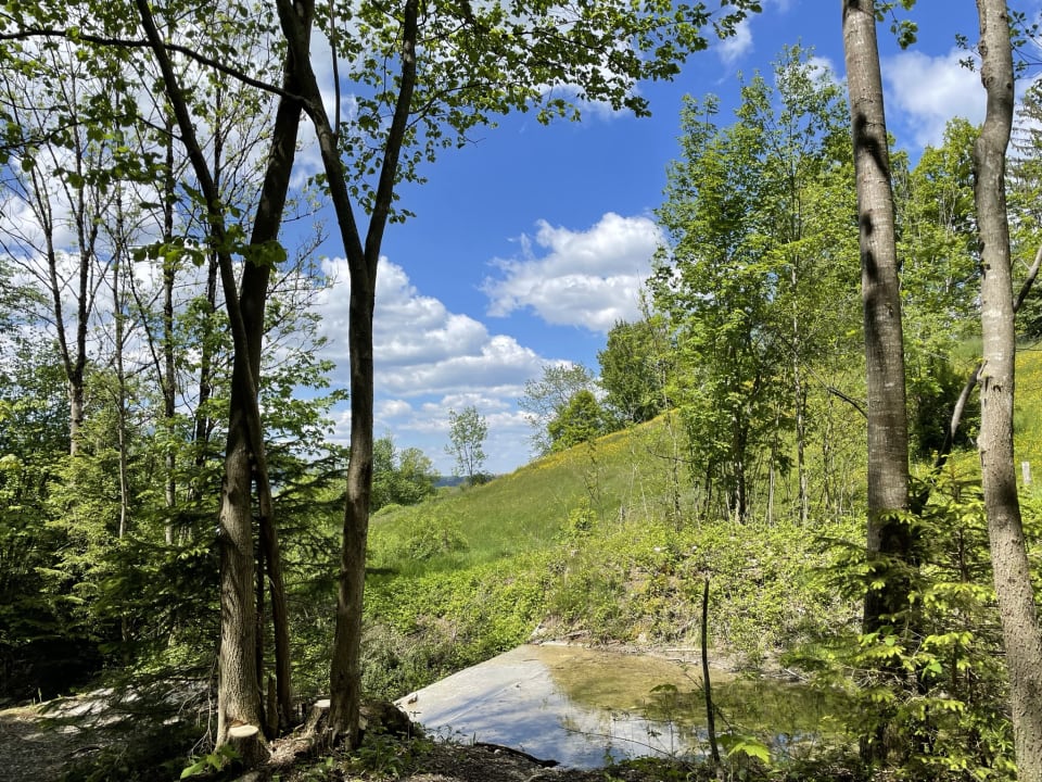 Außenansicht Ferienhof Streidl