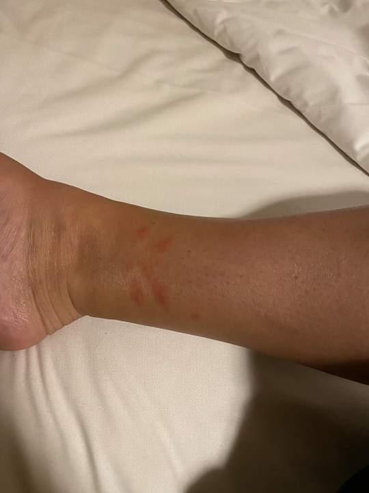 Zimmer Jaz Makadi Oasis Resort