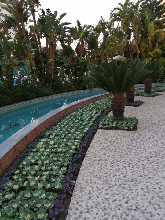 Gartenanlage Hotel Delphin Imperial