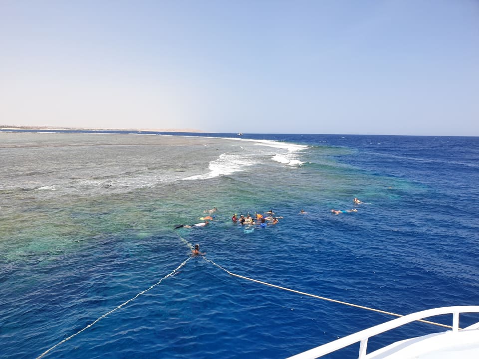 Sport & Freizeit Pickalbatros Vita Resort - Portofino Marsa Alam